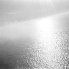 pedroguimaraes.studio