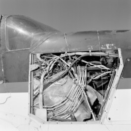 pedroguimaraes.studio