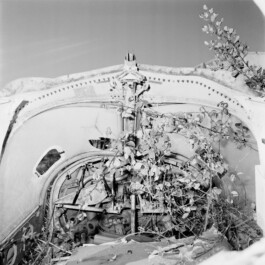 pedroguimaraes.studio