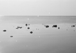 pedroguimaraes.studio