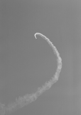 pedroguimaraes.studio