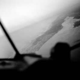 pedroguimaraes.studio