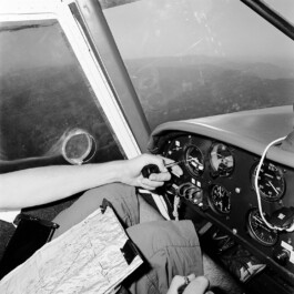 pedroguimaraes.studio