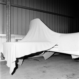 pedroguimaraes.studio