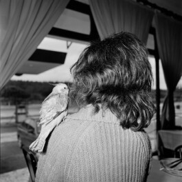 pedroguimaraes.studio