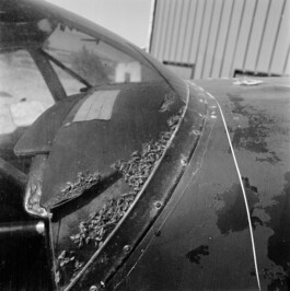 pedroguimaraes.studio