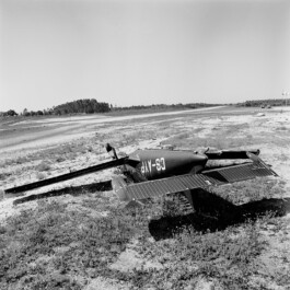 pedroguimaraes.studio