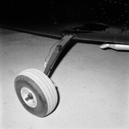 pedroguimaraes.studio