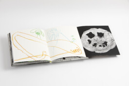 pedroguimaraes.studio