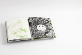 pedroguimaraes.studio