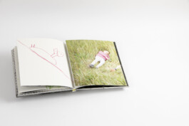 pedroguimaraes.studio