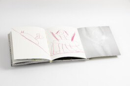 pedroguimaraes.studio