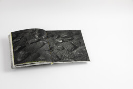 pedroguimaraes.studio