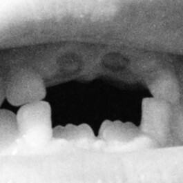 pedroguimaraes.studio