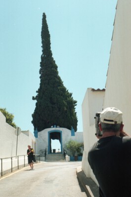 pedroguimaraes.studio