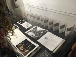 pedroguimaraes.studio