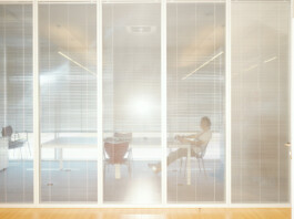 pedroguimaraes.studio