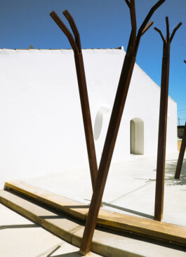 pedroguimaraes.studio