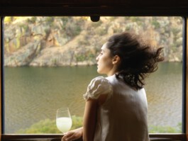 pedroguimaraes.studio