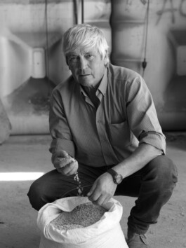 pedroguimaraes.studio