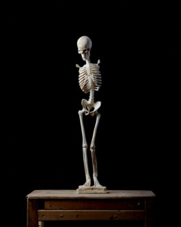 pedroguimaraes.studio