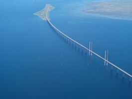 pedroguimaraes.studio