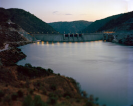 pedroguimaraes.studio