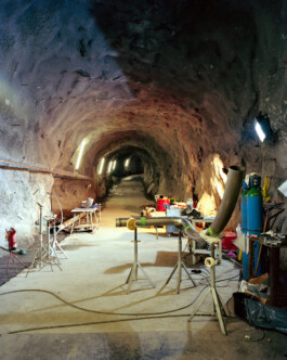 pedroguimaraes.studio