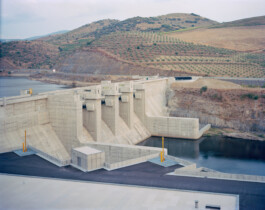 pedroguimaraes.studio