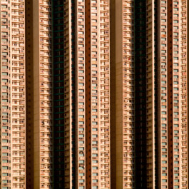 pedroguimaraes.studio