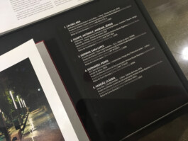 pedroguimaraes.studio