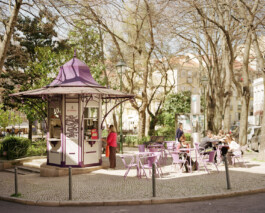 pedroguimaraes.studio