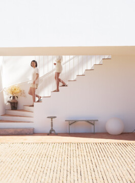 pedroguimaraes.studio