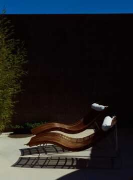 pedroguimaraes.studio
