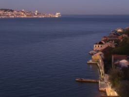 pedroguimaraes.studio