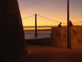 pedroguimaraes.studio