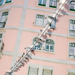 pedroguimaraes.studio
